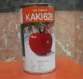 فروش بذر گوجه فرنگی کایکی 628