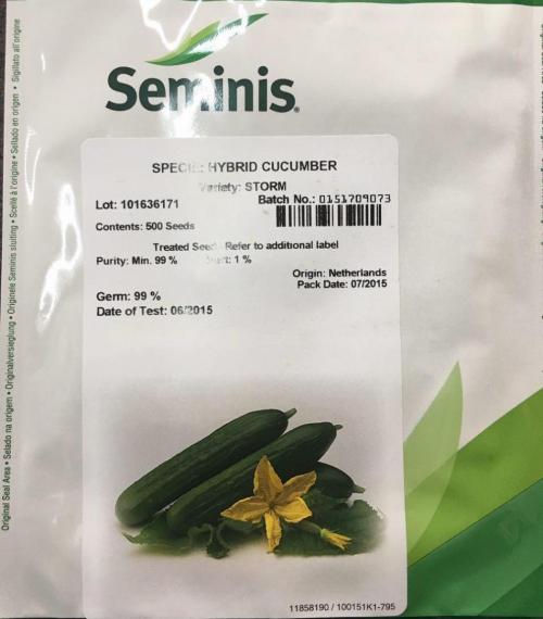 فروش بذر خیار استورم سیمینس