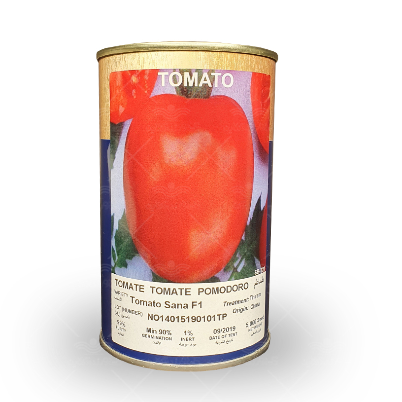 فروش بذر گوجه فرنگی ثنا