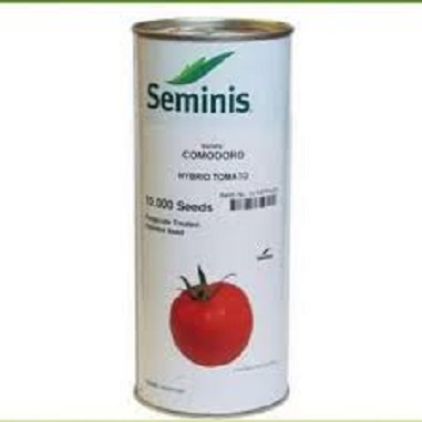 فروش بذر گوجه فرنگی کومودور سیمینس