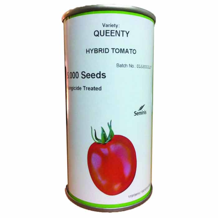 فروش بذر گوجه فرنگی کویینتی سیمینس