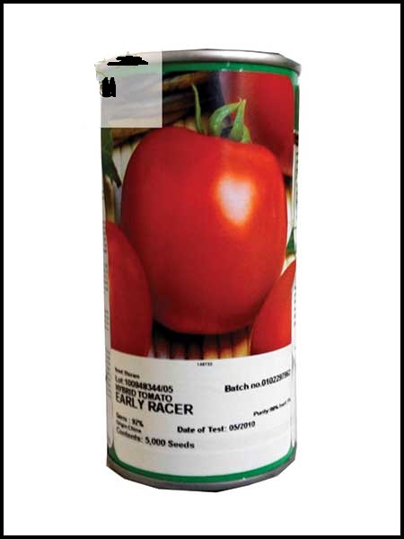 فروش بذر گوجه فرنگی کیمیا