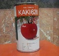 بذر گوجه کاکی 628