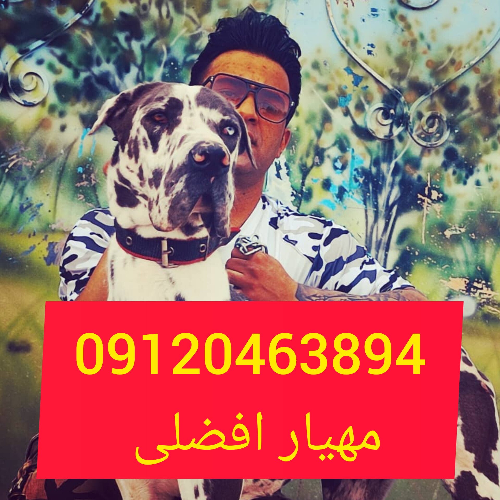 باشگاه سگ البرز باشگاه سگهای نگهبان