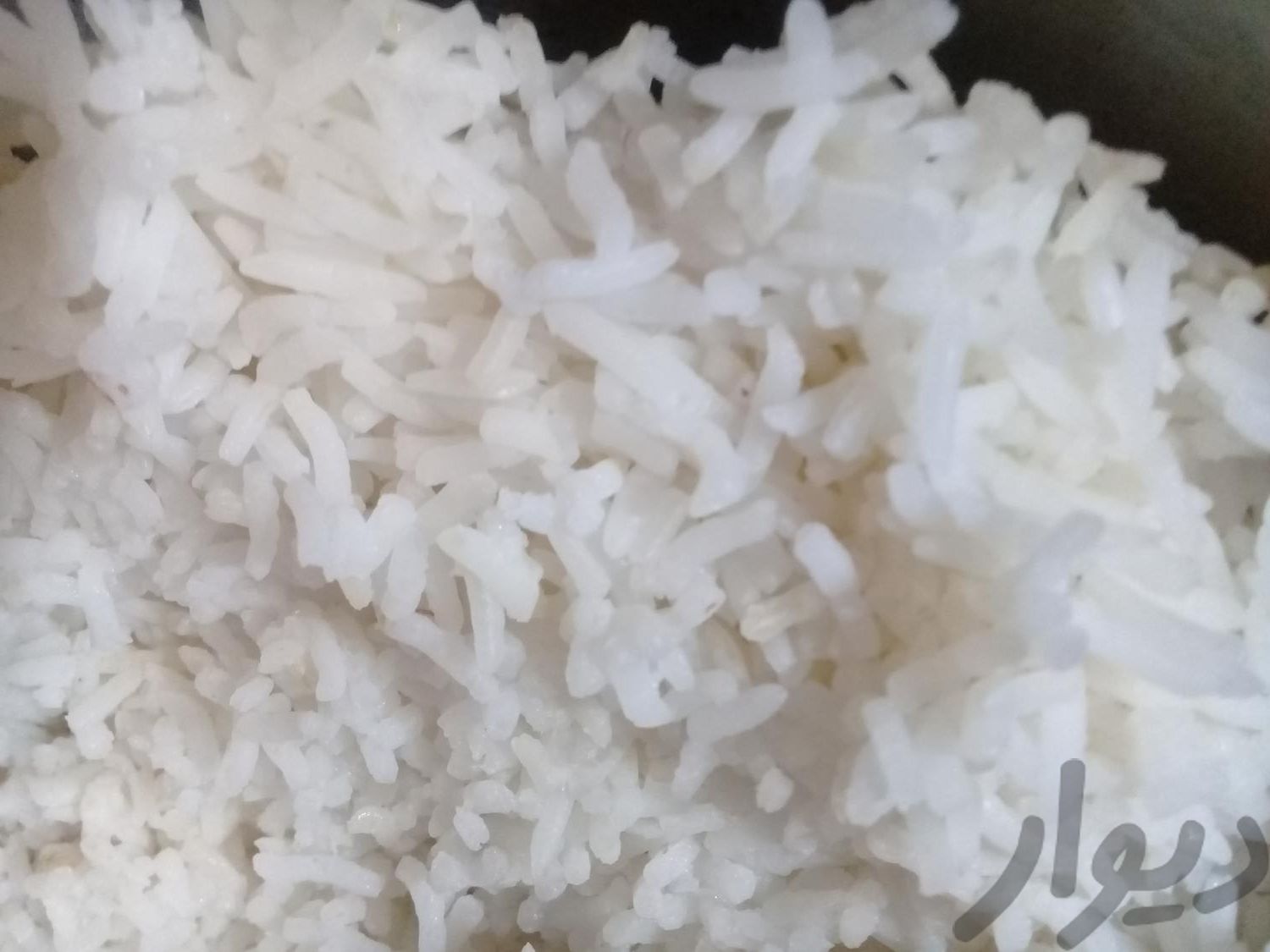 فروش برنج هاشمی درجه یک رستورانی