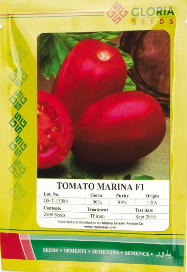 فروش بذر گوجه مارینا گلوریا ، بذر گوجه تخم مرغی