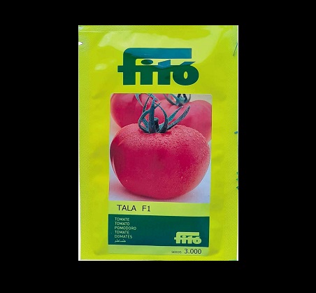 فروش بذر گوجه طلا Fito اسپانیا ، بذر گوجه TALA