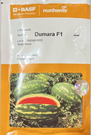 بذر هندوانه دومارا