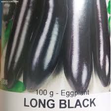  بذر بادمجان long black،قیمت بذر بادمجان long black