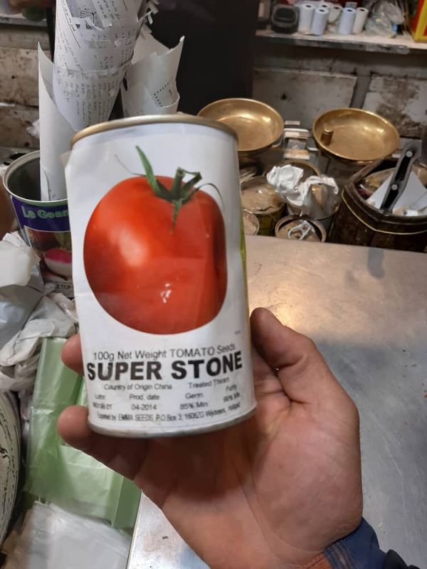  بذر گوجه فرنگی فضای باز سوپراستون،فروش بذر گوجه فرنگی فضای باز سوپراستون