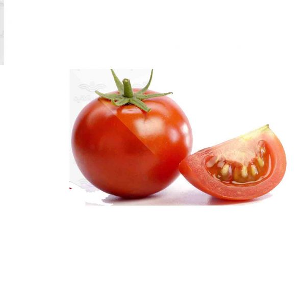  بذر گوجه فرنگی جی اس ۱۲،فروش بذر گوجه فرنگی جی اس ۱۲