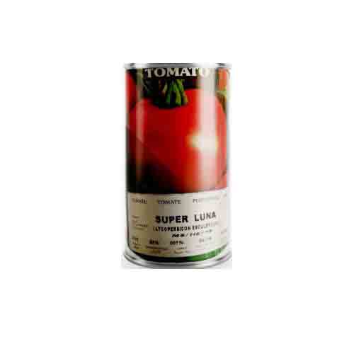  بذر گوجه فرنگی سوپر لونا آمریکا ، فروش بذر گوجه فرنگی سوپر لونا آمریکا