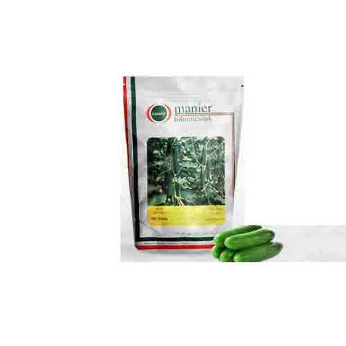  بذر خیار گلخانه ای پرگل ام آر سی ۰۷ ، فروش بذر خیار گلخانه ای پرگل ام آر سی ۰۷