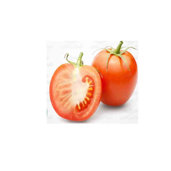  بذر گوجه فرنگی هیبرید دبلیواس ۴۰۴۰ ، فروش بذر گوجه فرنگی هیبرید دبلیواس ۴۰۴۰
